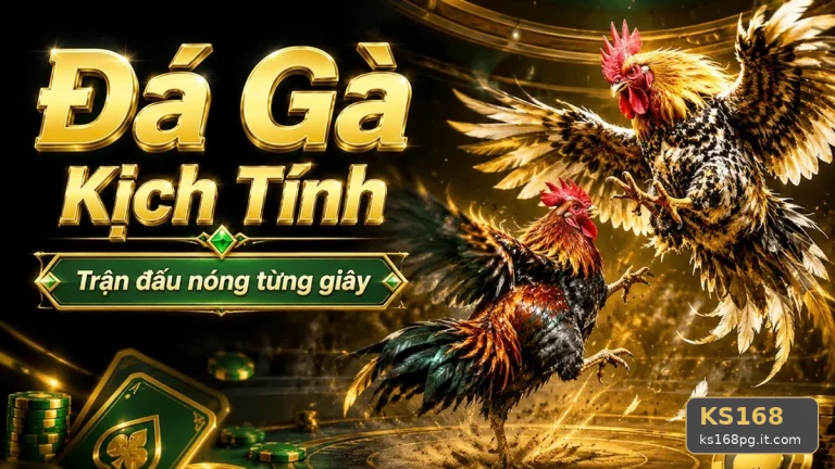 Đá Gà KS168 Tại ks168pg.it.com: Phân Tích Dữ Kiện, Rủi Ro Và Giới Hạn Ngân Sách Khi Quản Lý Phiên Chơi Trực Tuyến