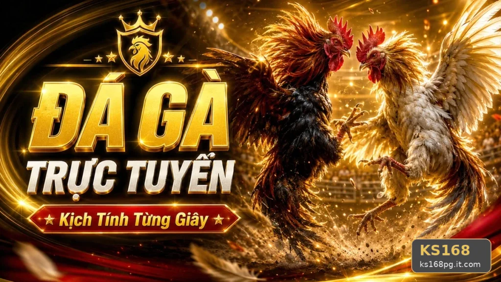 Đánh Giá Trải Nghiệm Đá Gà KS168 Trên Điện Thoại: Hướng Dẫn Chi Tiết Quản Lý Phiên Chơi Tại ks168pg.it.com