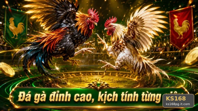Giải Thích Biểu Tượng, Tính Năng Và Quy Trình Đá Gà KS168 Trực Tuyến Cùng Quản Lý Phiên Chơi Chi Tiết Tại ks168pg.it.com