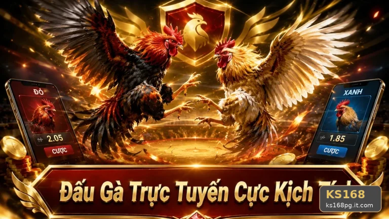 Nhận Diện Lỗi Phổ Biến Và Cách Xử Lý Có Trách Nhiệm Khi Quản Lý Phiên Đá Gà Trực Tuyến KS168 Tại ks168pg.it.com